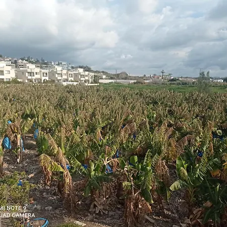 דירה Blue Seaview Appartments *
