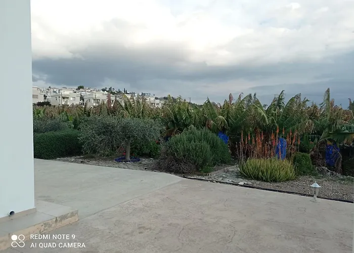 Blue Seaview Appartments