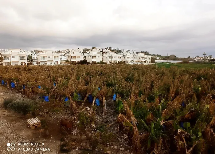 Blue Seaview Appartments Appartamento
