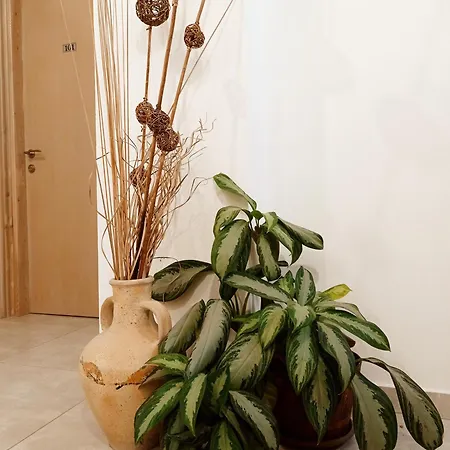 Blue Seaview Appartments Paphos