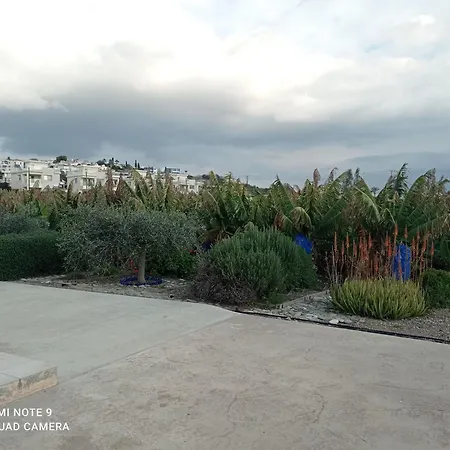 Blue Seaview Appartments