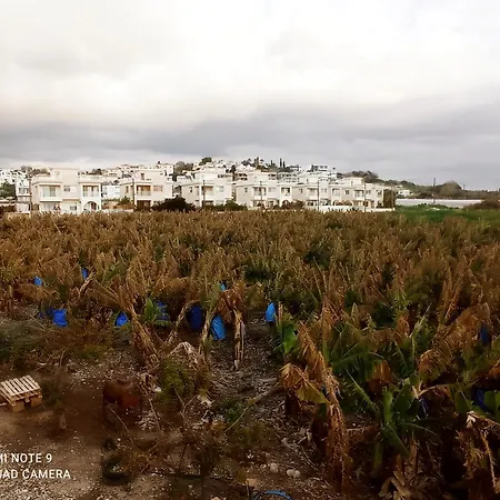 Blue Seaview Appartments דירה